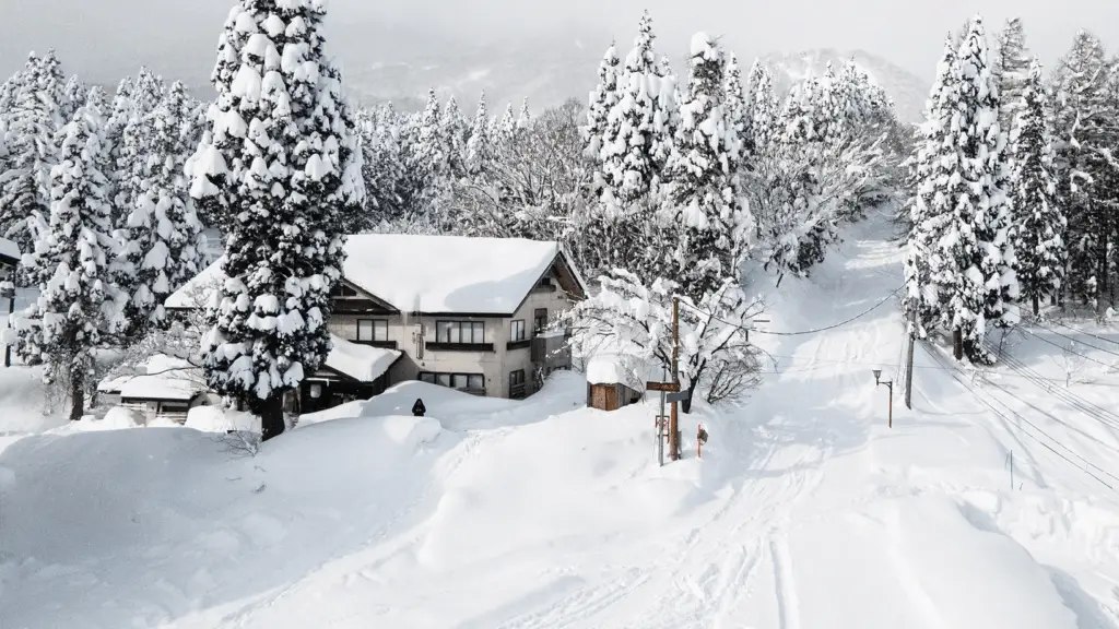 Top Japanese ski resorts for your 2025 travel plans